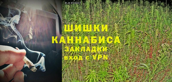 прущая мука Нея