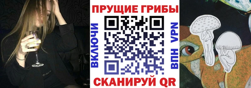 mega ONION  Канск  Псилоцибиновые грибы GOLDEN TEACHER 