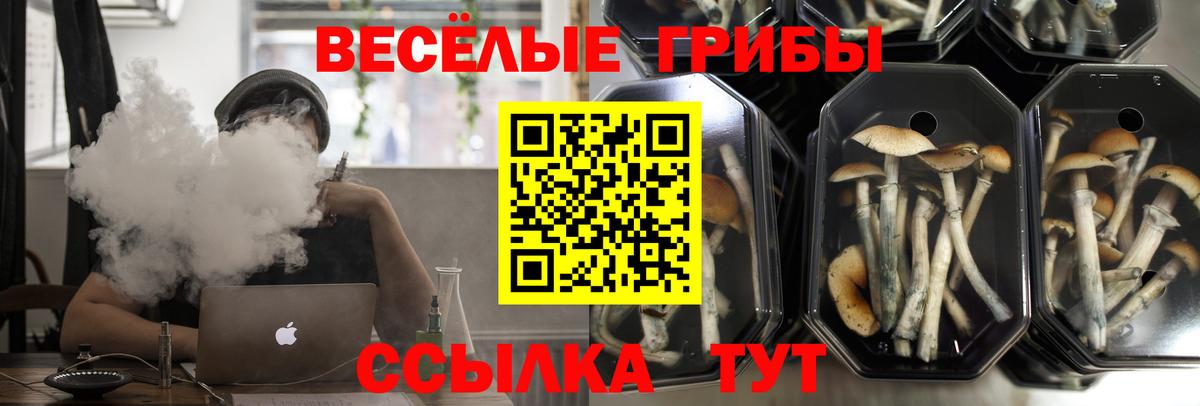 Псилоцибиновые грибы MAGIC MUSHROOMS Канск
