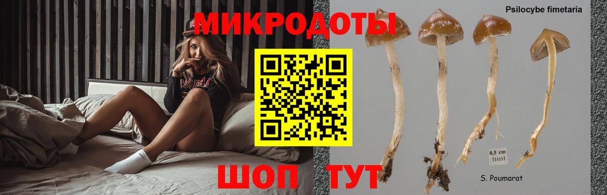цена   Вход с VPN  Канск  Галлюциногенные грибы мухоморы 